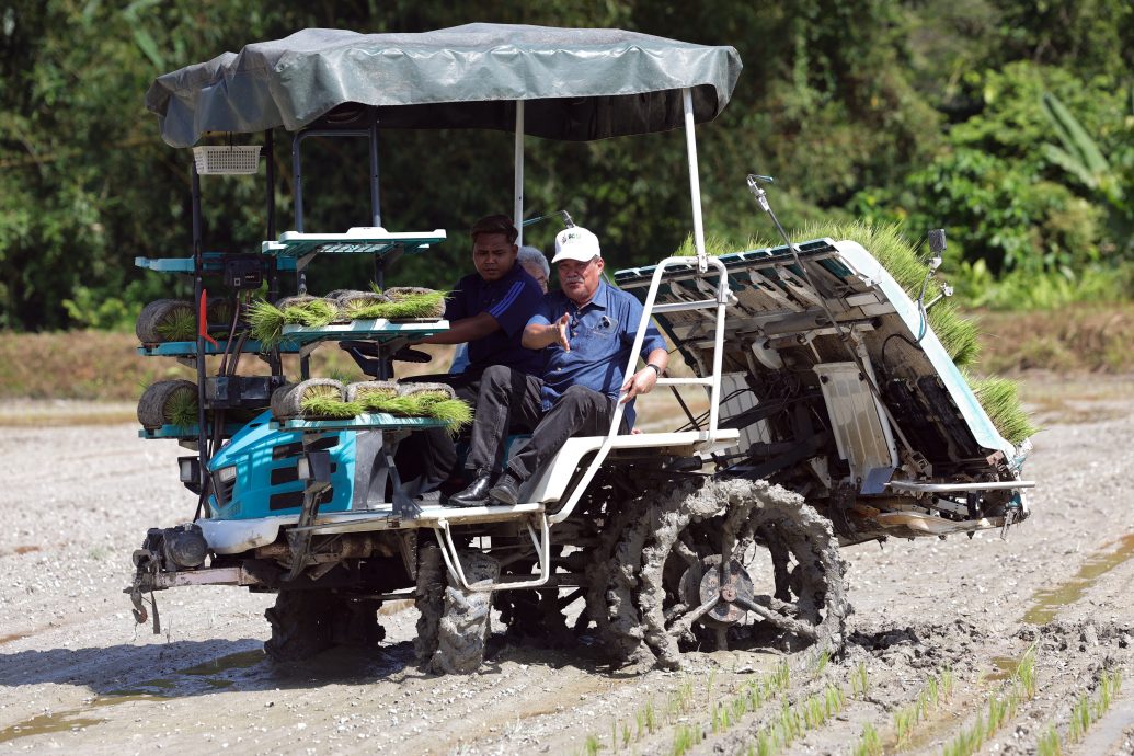 减少依赖进口稻米 农业部拟开发9万公顷荒地种稻