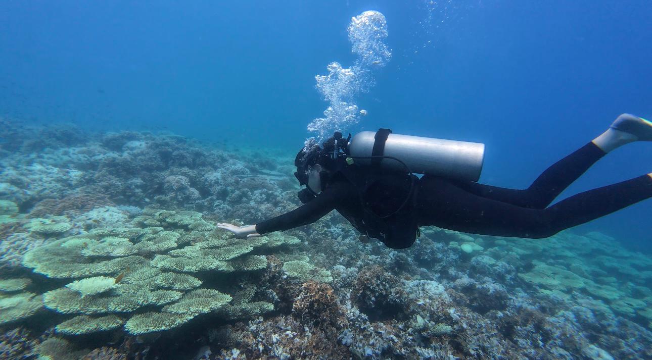 全国:暖势力(尽快刊)以塑料升级再造研究获奖,江欣莹国际科研领域大放异彩