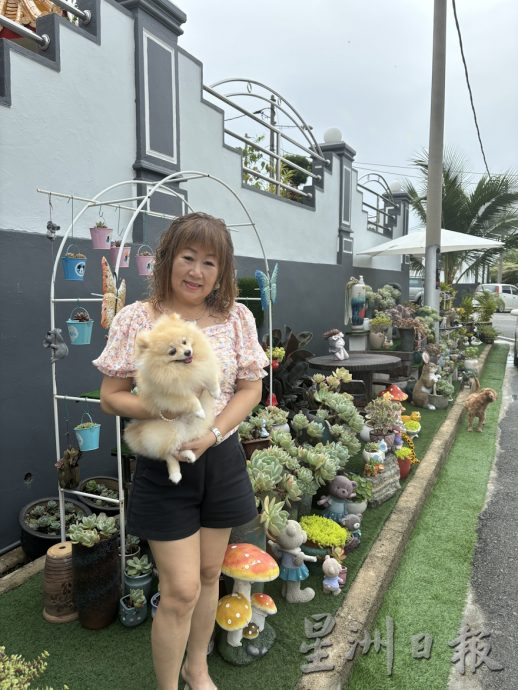 共用版:乐活频道(12月5日见报):郑玫珍种逾600盆多肉植物,营造漂亮景观