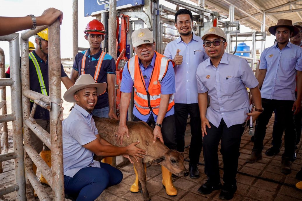 农长:油棕园综合养牛提升自给率 减少除草剂使用