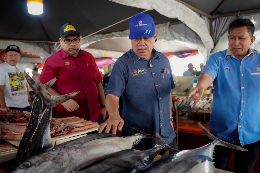 农长:油棕园综合养牛提升自给率 减少除草剂使用