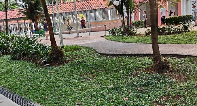 占用组屋公地打匹克球 乐龄人士自私行为惹不满