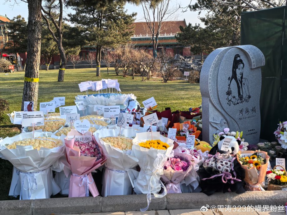 周海媚离世1周年忌日 粉丝悼念墓园成一片花海