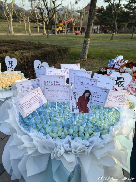 周海媚离世1周年忌日 粉丝悼念墓园成一片花海