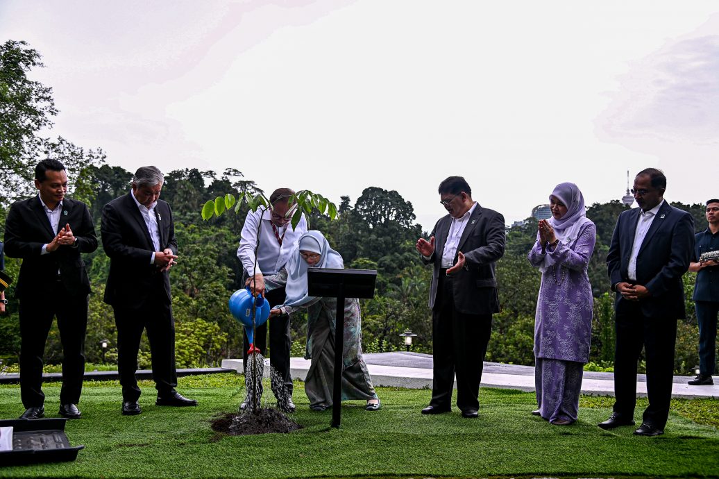 国会/安华夫妇种第1亿棵树