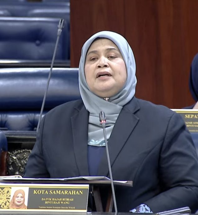 国会/鲁比雅:4州明年安装太阳能路灯/乡村部制定全国计划