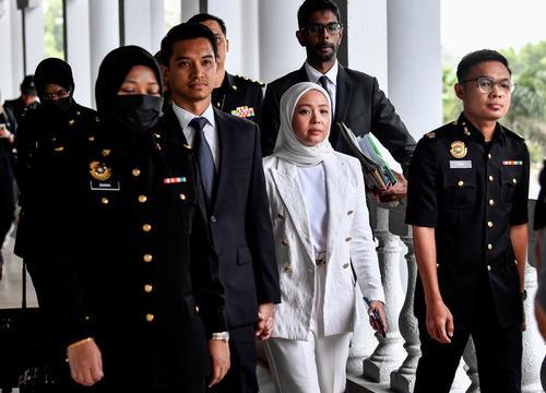 图说─FV夫妇上庭