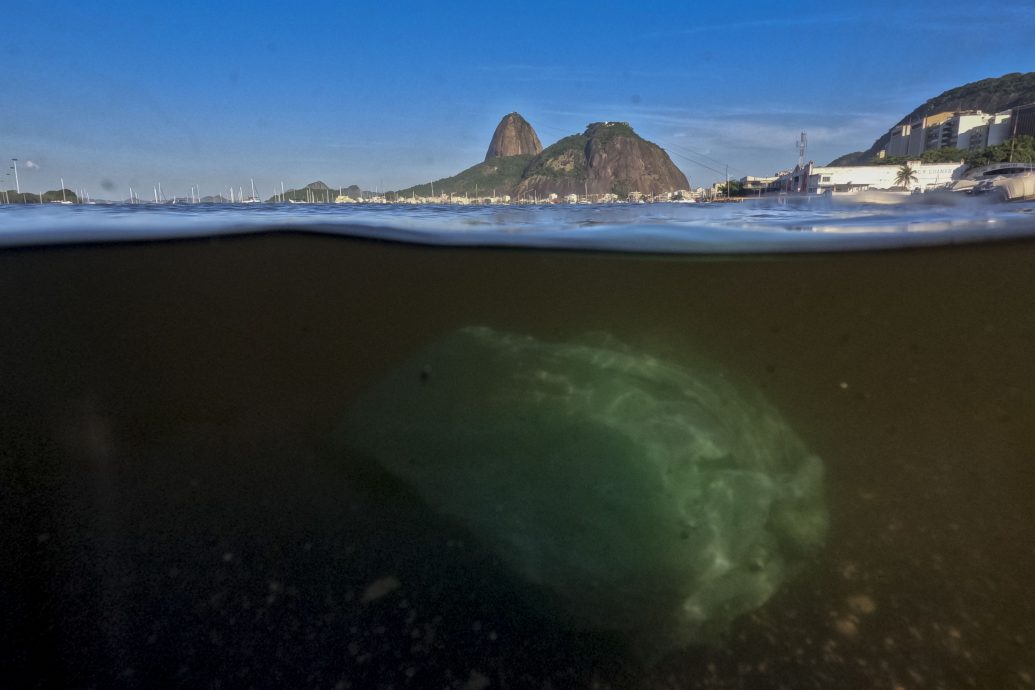 塑料污染条约 谈判遇阻   产油国拒让步 多国吁再谈判