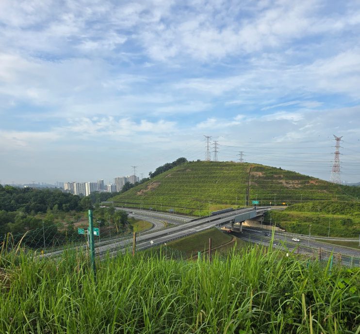 大都会/封面/沙登岭社区地图/多图 