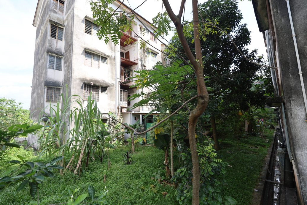 大都会/早报头/余保凭-甲洞英旦拜杜里廉价组屋居住环境糟糕