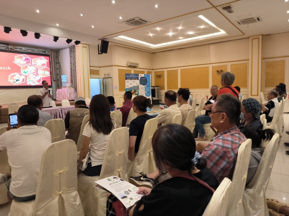 古来包揽全柔咖喱叶、香茅和班兰叶47%的市场供应