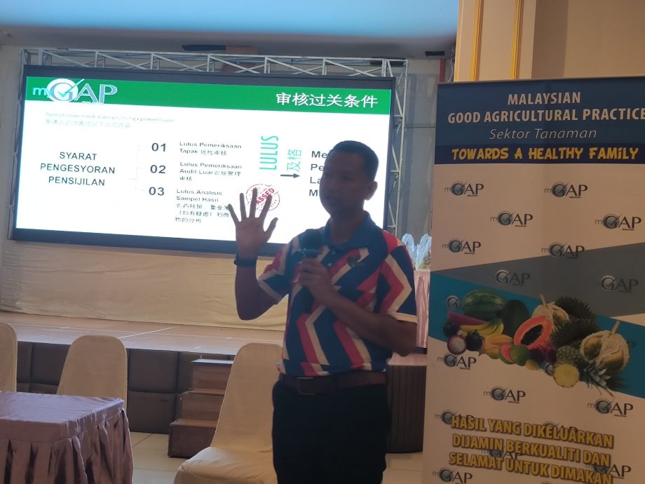 古来包揽全柔咖喱叶、香茅和班兰叶47%的市场供应