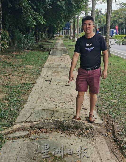 **已签发**柔:封面副文:【民生特工队】:依城行政区树根毁步道,市民忧日后问题更大