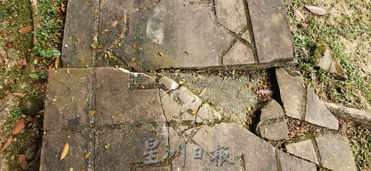 **已签发**柔:封面副文:【民生特工队】:依城行政区树根毁步道,市民忧日后问题更大