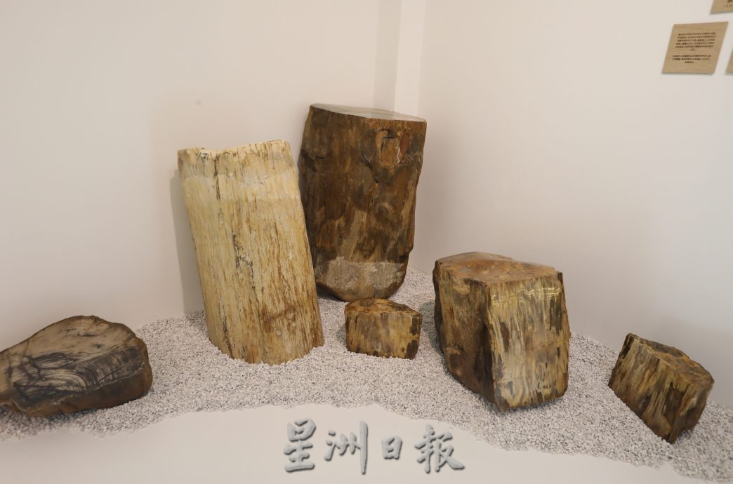 **已签发**柔:封面:【特稿】:以木工器具为主题,新山家具公会创设“家具文物馆”