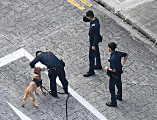 *已签发*柔：狮城二三事：狮城少年砍人拍血衣 照片成罪证