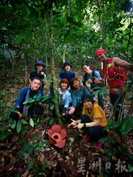 登山寻大王花 遇突发性山洪 有惊无险