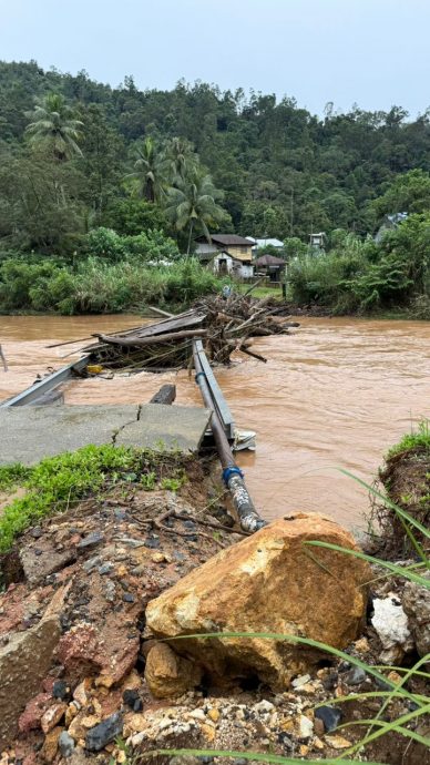 第二波大雨冲刷,林明河废弃旧桥再次堆积大量树枝恐引发水灾。