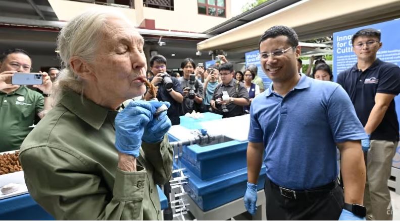 绿量∕水箱里搭「组屋」培育 新加坡推10万珊瑚养殖计划