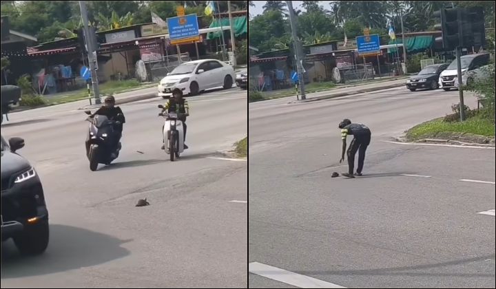 视频|乌龟红绿灯前过马路 骑士停下救起赢网赞