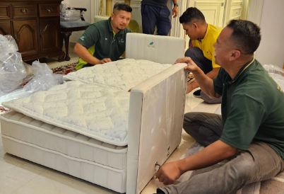 视频|旺师傅爱猫睡2千贵床 网:“来世投胎当你的猫!”