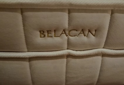 视频|旺师傅爱猫睡2千贵床 网:“来世投胎当你的猫!”