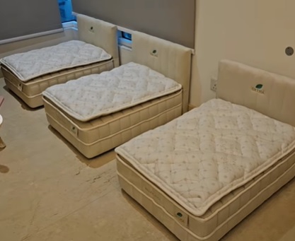 视频|旺师傅爱猫睡2千贵床 网:“来世投胎当你的猫!”