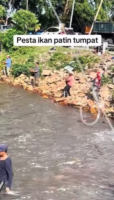 视频|鱼友河里垂钓 居民岸上欢呼 道北水闸“巴丁鱼派对”真热闹！