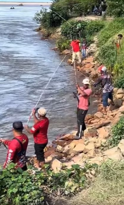 视频|鱼友河里垂钓 居民岸上欢呼 道北水闸“巴丁鱼派对”真热闹！