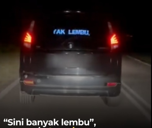 请减速，前方有牛