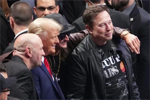 配头Trump Musk:Donald Trump