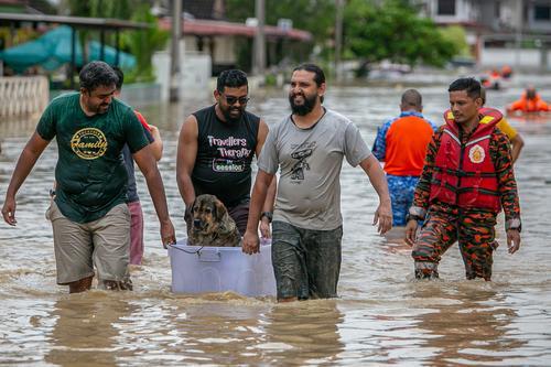 长命雨 红鹰园水位突涨  各单位出动救灾民