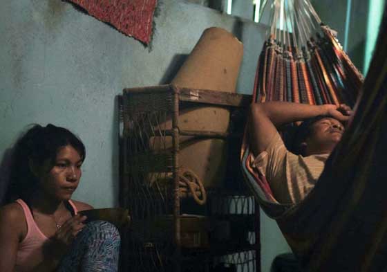 陈头头/《A Febre》无以名状的高热,货柜或丛林