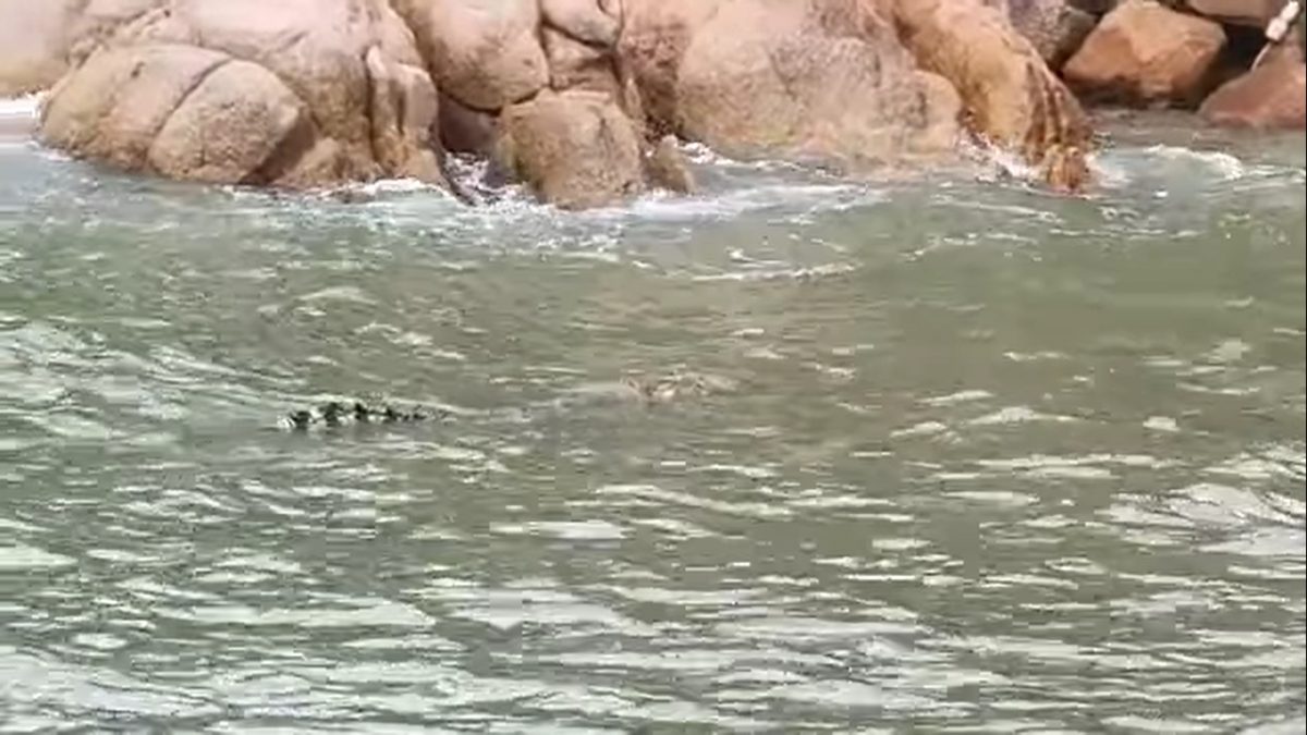 霹动保局民防部队巡逻 霹直落峇迪鳄鱼出没