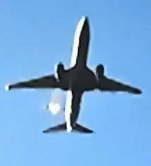 鸟击惹祸？ 航空专家持怀疑态度