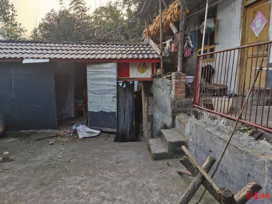 黑熊入屋伤人 丈夫勇斗持斧杀熊救妻