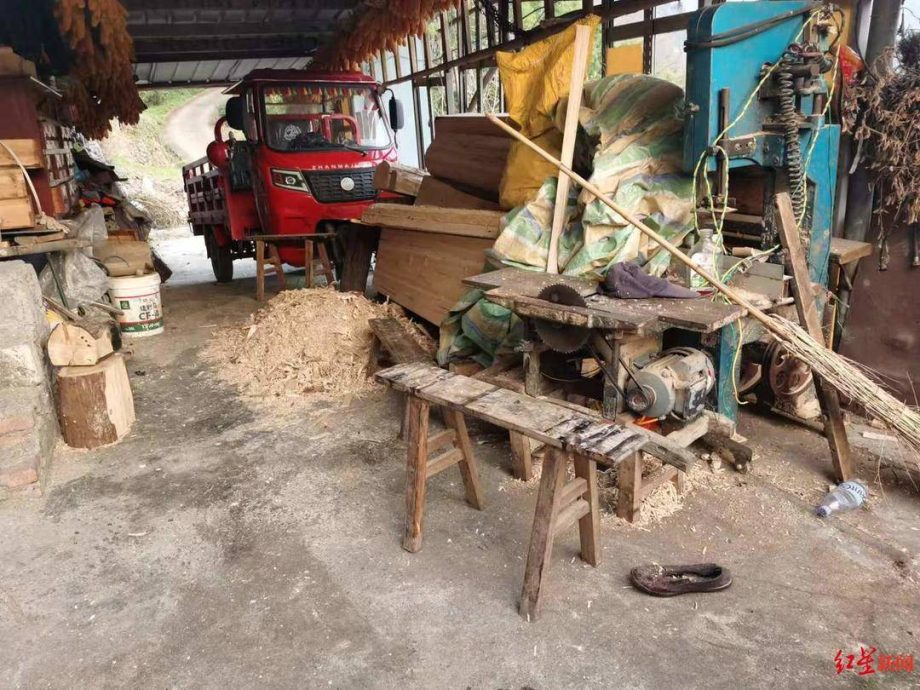 黑熊入屋伤人 丈夫勇斗持斧杀熊救妻