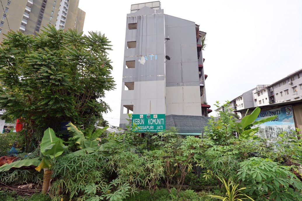 (11/12见报)大都会/绿意盎然-沙登再也PKNS组屋佳蒂楼社区菜园/多图