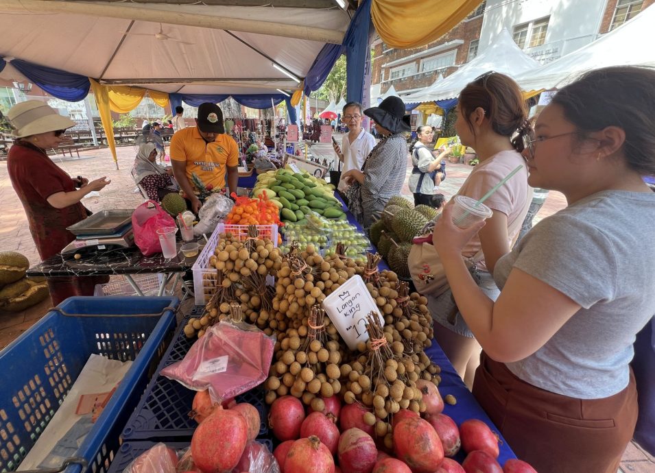 (古城封面主文)传统美食节飘香·感受多元美食魅力