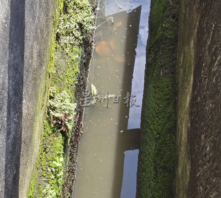 （古城第三版主文）后巷沟渠没清理飘臭 商家大喊受不了