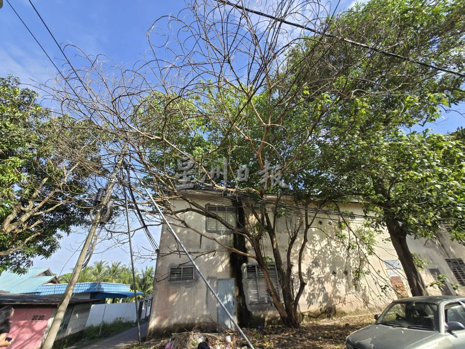 （古城第三版主文）后巷沟渠没清理飘臭 商家大喊受不了