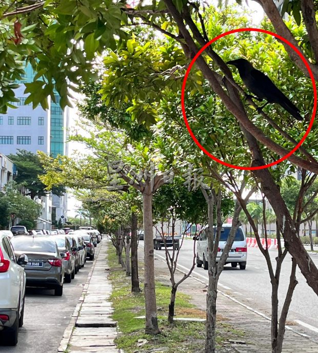 (古城第二版主文)敬业乐业——清洁工人守护着城市的清洁与美丽