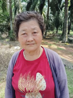 果园淹水约2个月 数十小园主盼当局快清沟