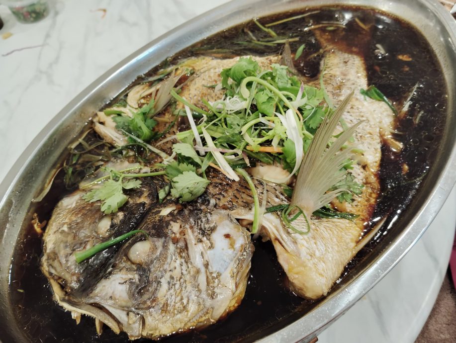 麻坡松鹤之夜新地点与读者有约 12月17日9AM开始售票