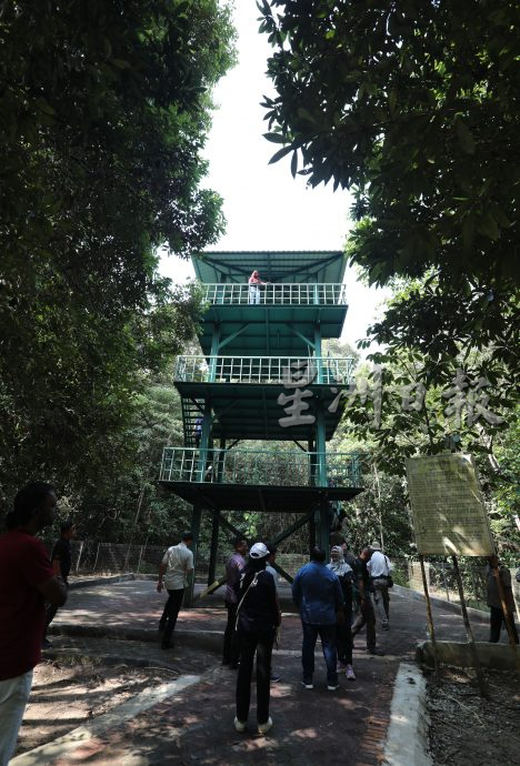 特稿:拟呈数计划增人工智能互动,班底禽鸟庇护中心迎向世界