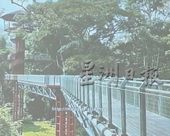 特稿:拟呈数计划增人工智能互动,班底禽鸟庇护中心迎向世界