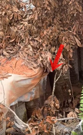 （版2头）大都会/道路又出现裂痕 