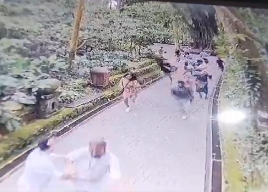 (视频)峇厘岛强风导致大树倒塌 两名游客被砸中身亡