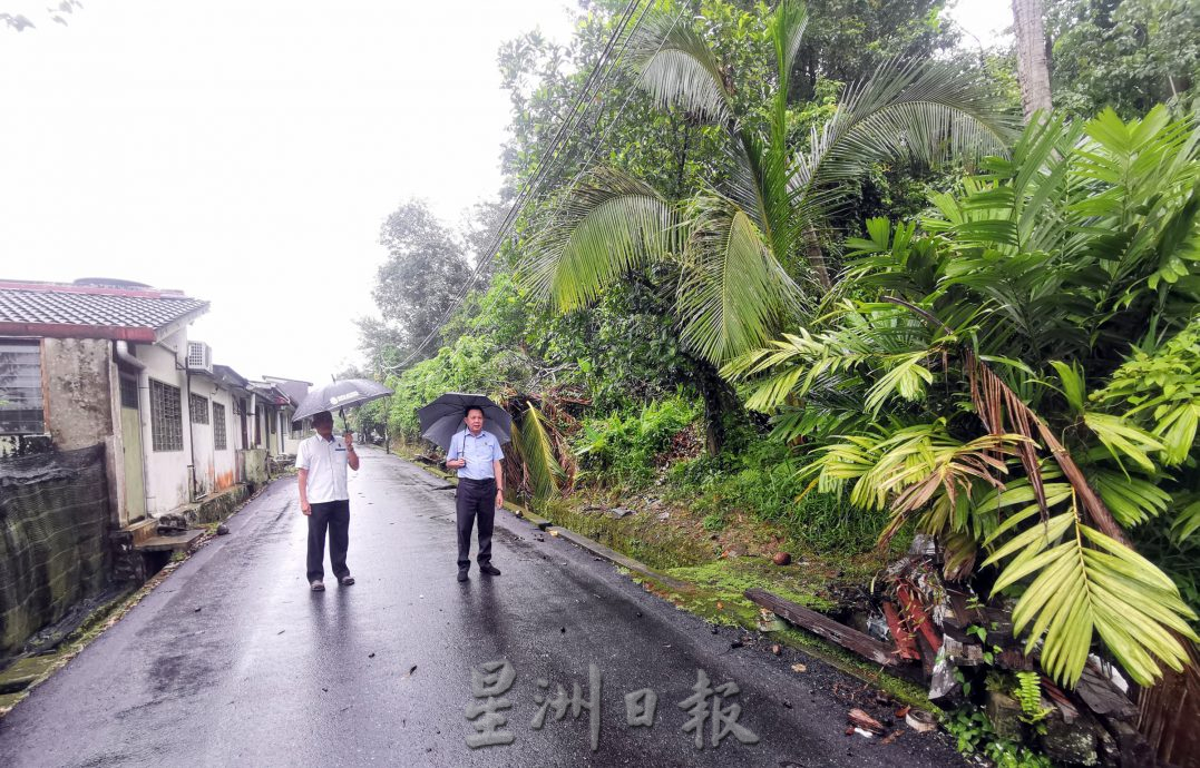 NS5主文/亚沙再也花园私人土地长期荒废,居民遭杂草丛生、树木倒塌与野生动物困扰