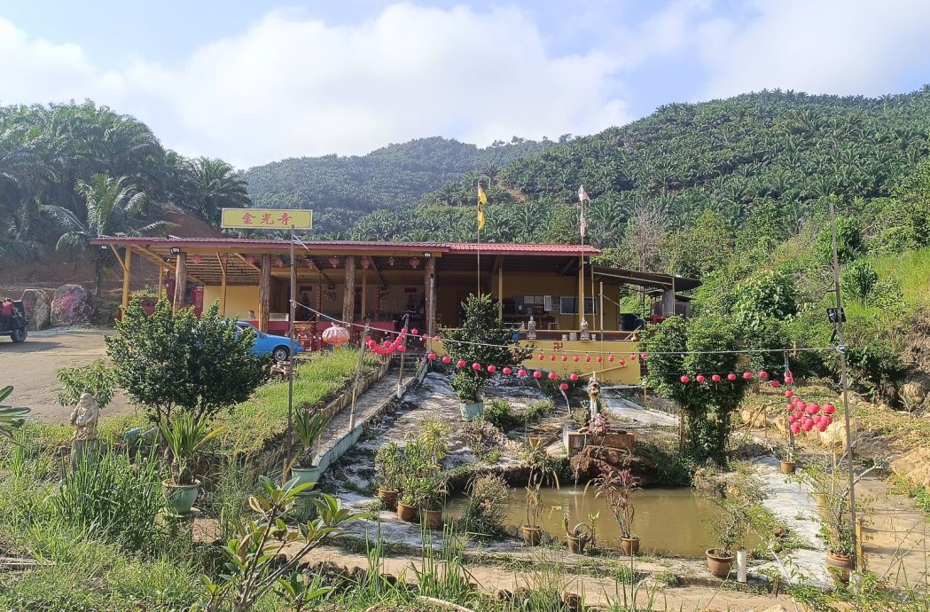 NS主文/金光寺布置许愿树,欢迎民众新年前往拈香打卡